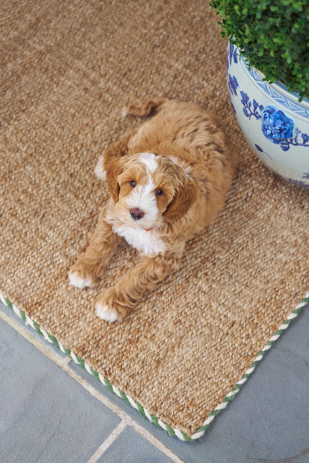 Braided Jute Doormat in Basil