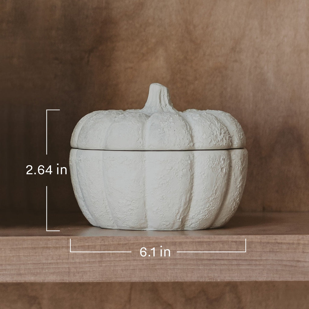 Cashmere & Vanilla Soy Candle — Cement Pumpkin Jar