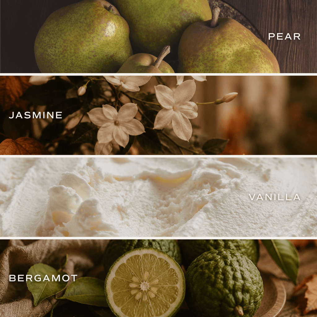 Cashmere & Vanilla Soy Candle — Cement Pumpkin Jar