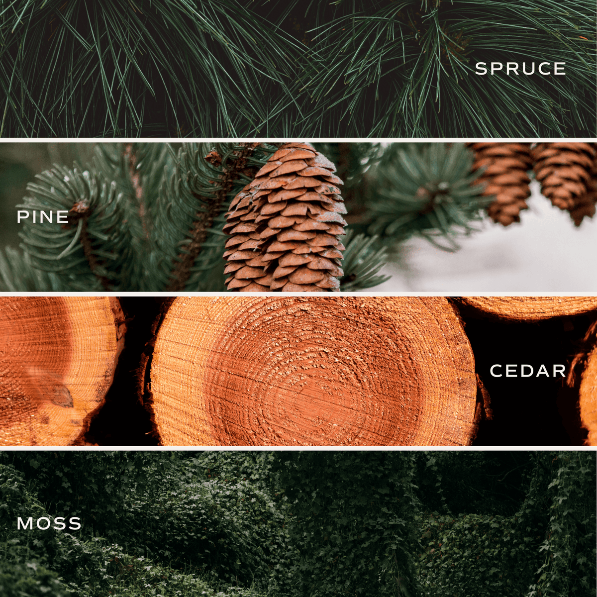 Christmas – Caswell House