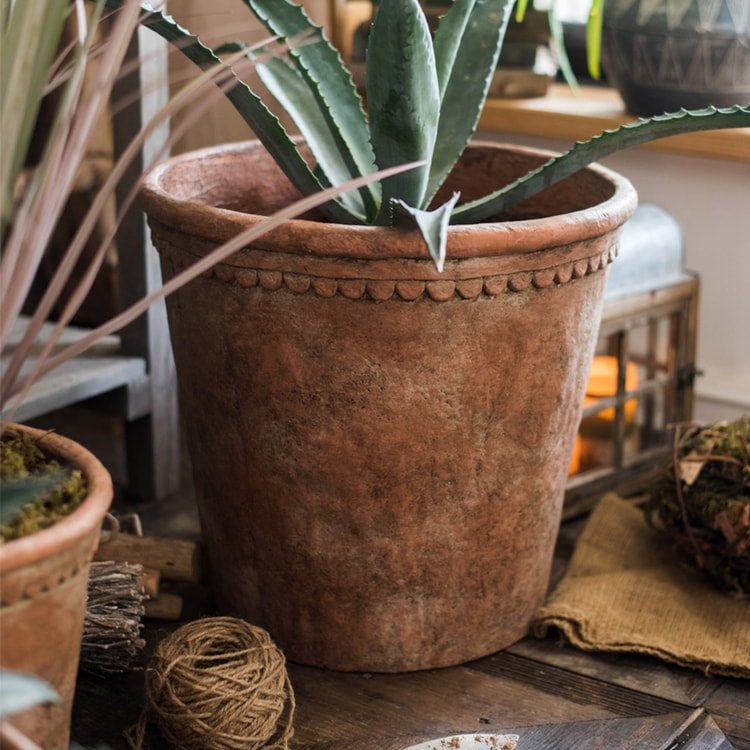 Terracotta Red Concrete Planter Pot