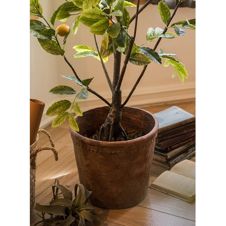 Terracotta Red Concrete Planter Pot