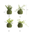 Mossy Meadow Fern Foam Ball
