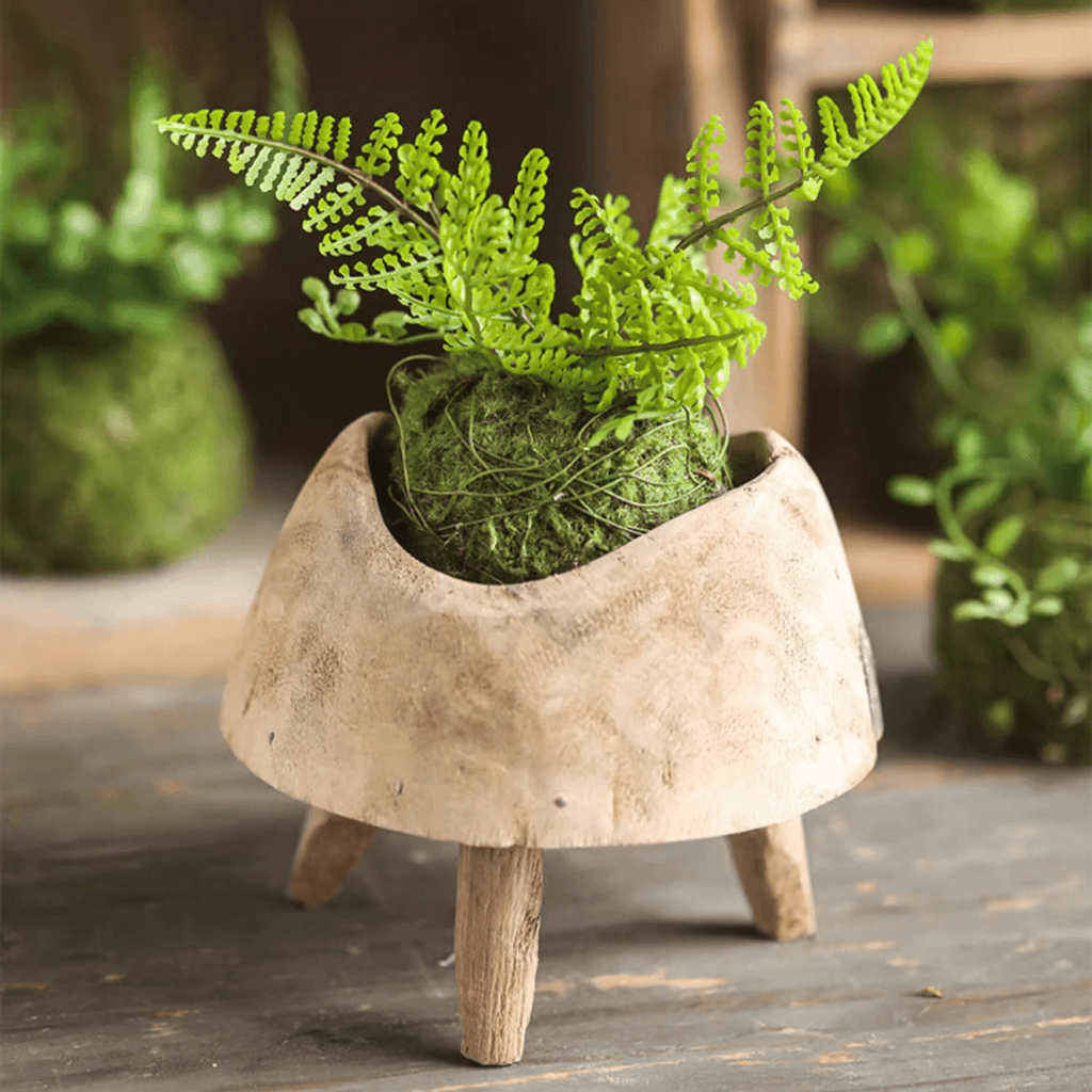 Mossy Meadow Fern Foam Ball