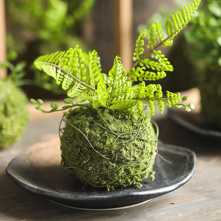 Mossy Meadow Fern Foam Ball