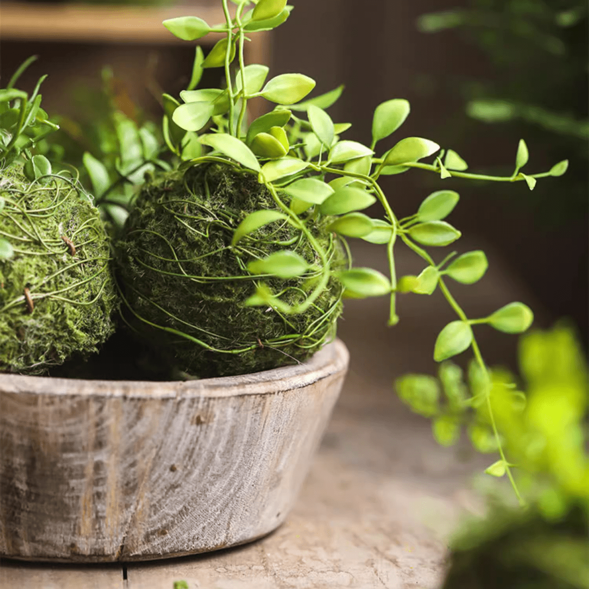 Mossy Meadow Fern Foam Ball