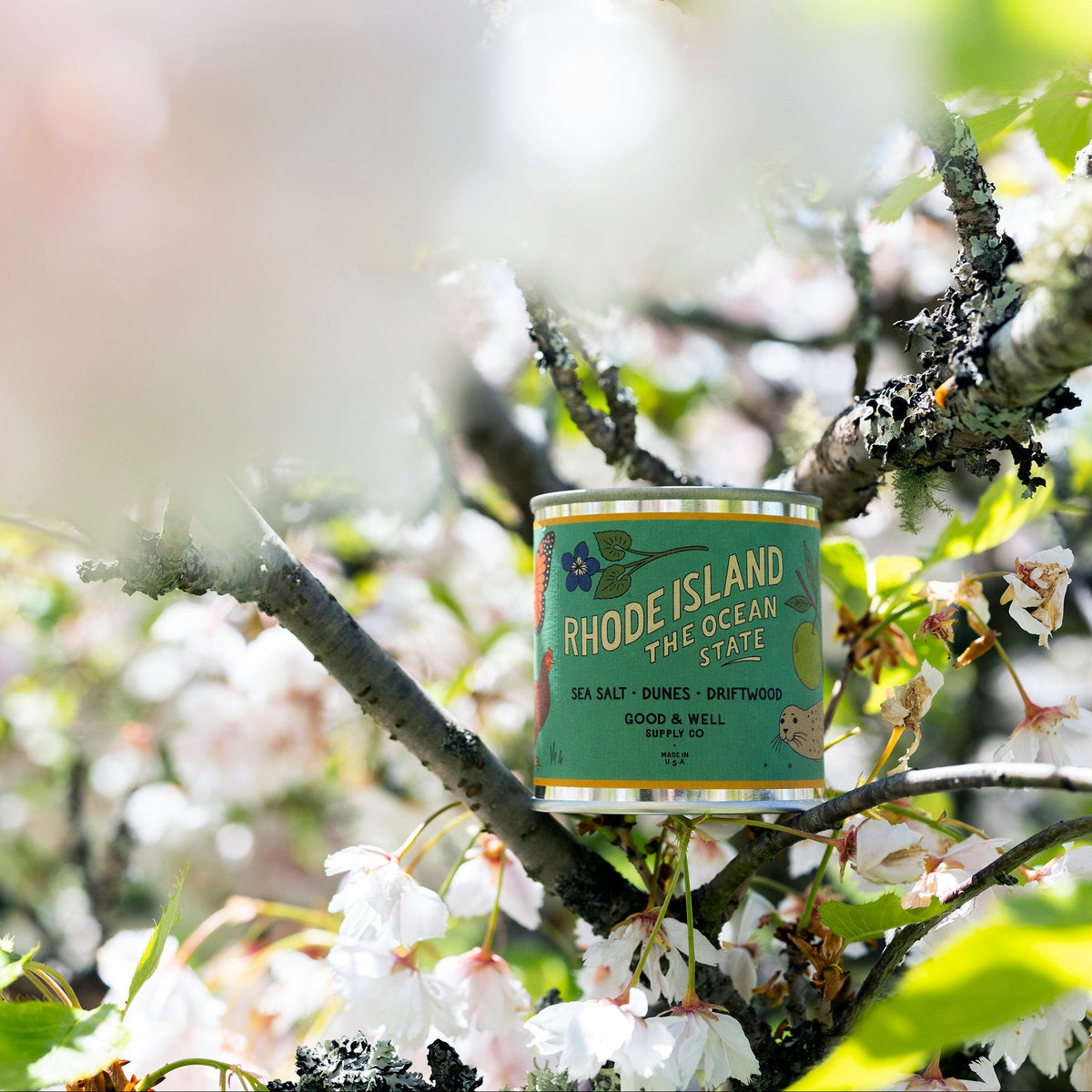 Rhode Island State Candle — Good & Well Supply Co.
