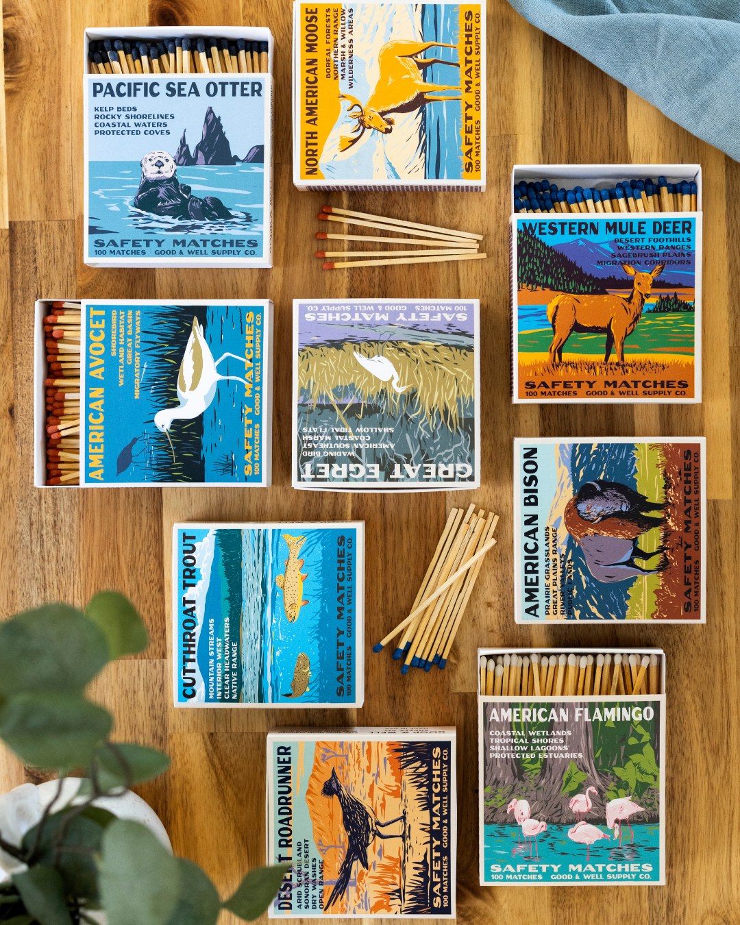American Avocet Cabin Matches — Good & Well Supply Co.